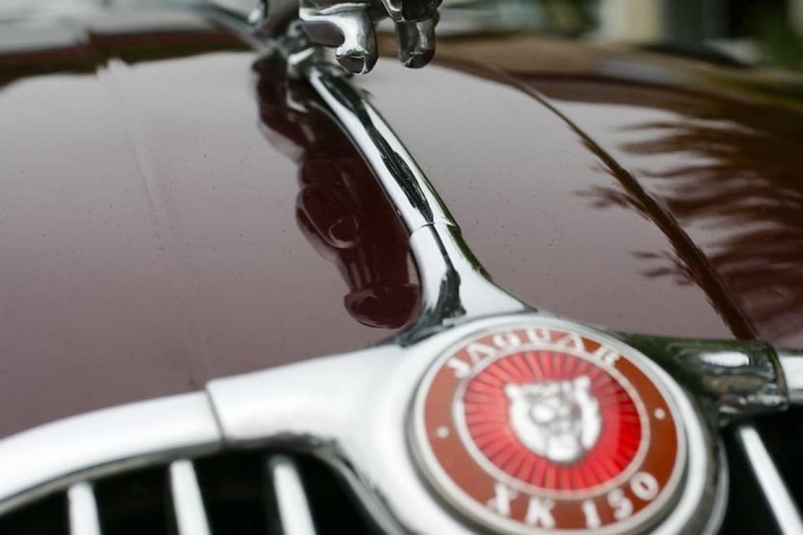 Jaguar Emblem vom Jaguar XK 150